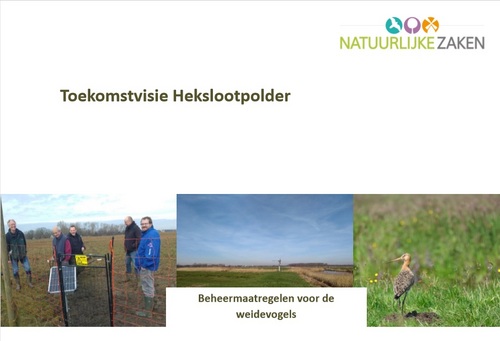 Wij willen investeren in weidevogels, jij ook?