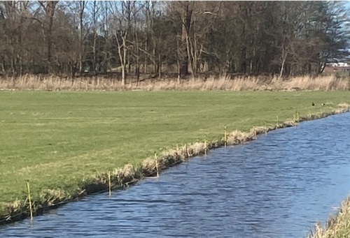 Vossenraster deels geplaatst