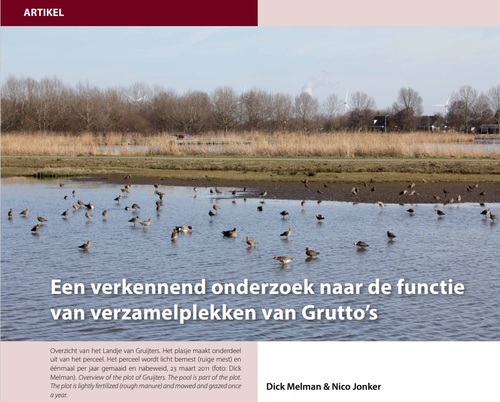 Rapport Grutto slaapplaats Landje van Gruijters