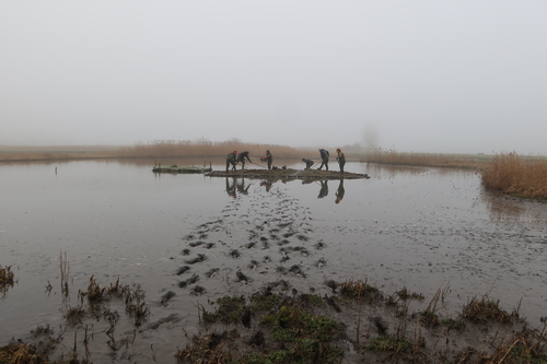 Kluteneiland opgeschoond 18 januari