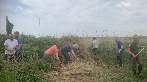 Ringslanghoop weer vernieuwd