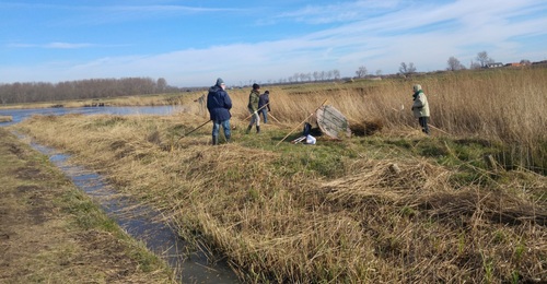 1e Natuurwerkdag geslaagd