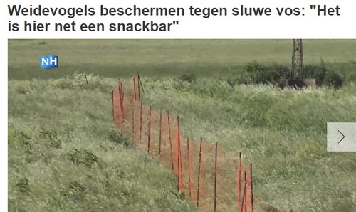 Kluten als snack?