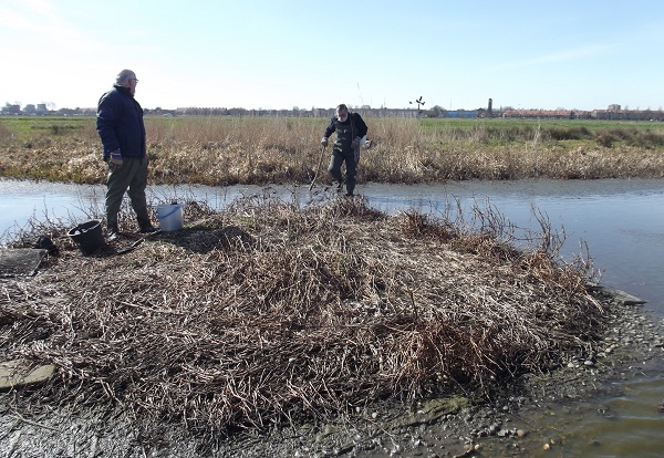 De vereniging aan het werk